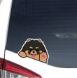 Custom Black&Tan Pomeranian Spitz Car Window Laptop Bottle Sticker Decal