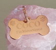 Custom Pet Name Dog/Cat ID Collar, Im microchipped Dog Tag Bone
