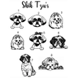Custom Shih Tzu Pet ID, Dog/Cat ID Collar Tags Bone