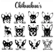 Custom Chihuahua Pet ID, Dog/Cat ID Collar Tags Bone