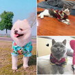 Summer Pet Clothing Hawaiian Dog & Cat Shirt