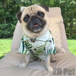 Chiffon Summer Beach Style Hawaiian Dog & Cat Shirt