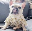 Banana Summer Beach Pet Dog Clothing Shirt
