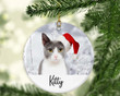 Christmas Custom Pet Dog Cat with Santa Hat Xmas Ornament