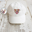 Pet Hat Using Pet Photo Personalized Dog Hat