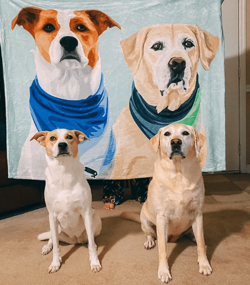 Custom Pet Portrait Blanket, Gift For Pets, Pet Portrait Custom