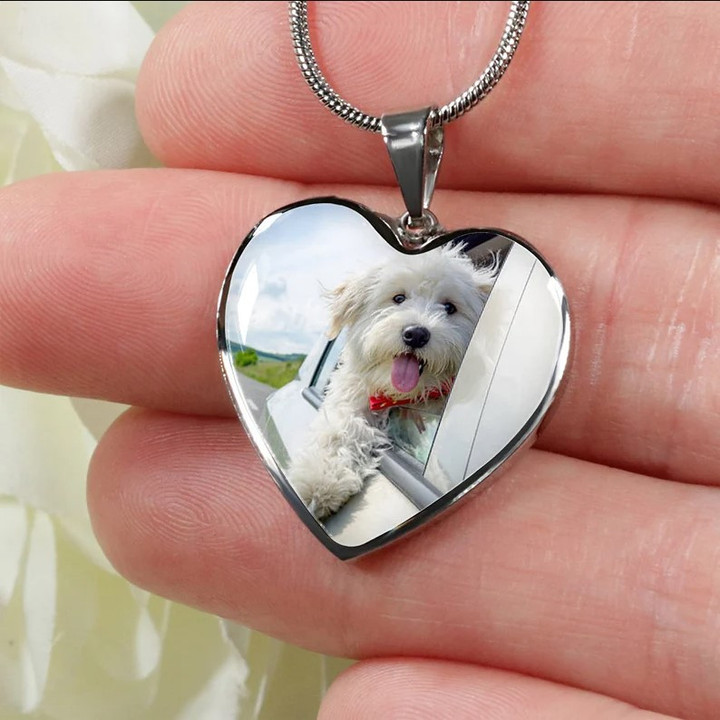 Pet Memorial Necklace, Pet Photo Luxury Heart Pandent