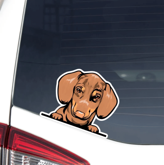 Peeking Brown Dachshund Dog Car Window Laptop Bottle Sticker Decal