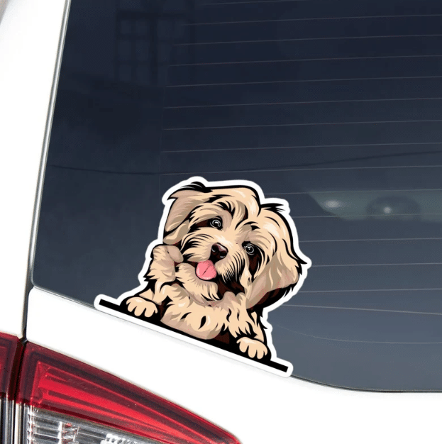Gold Havanese Dog Car Window Laptop Bottle Sticker Decal