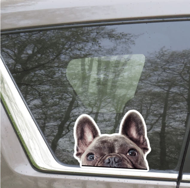 Chocolate Frenchie Dog Car Window Laptop Bottle Sticker Decal