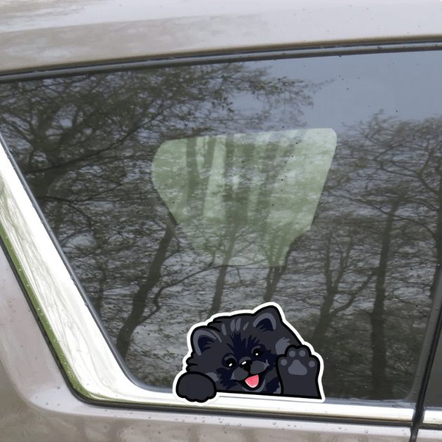 Custom Black Pomeranian Spitz Car Window Laptop Bottle Sticker Decal