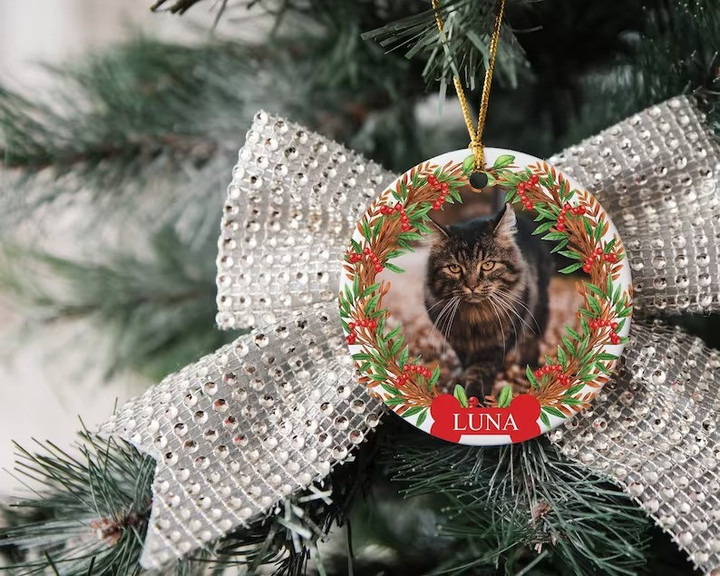 Christmas Personalized Pet Ornament With Name, Custom Dog Cat
