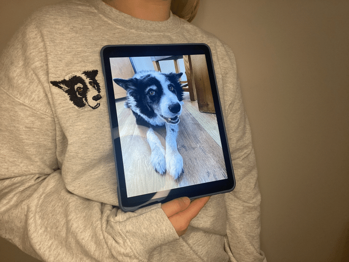 Custom Embroidered Pet Dog Cat Portrait Pet Picture