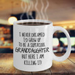 Personalized Mug, Thanks For Being My Granddaughter, Gift For Granddaughter Mug - ATMTEE
