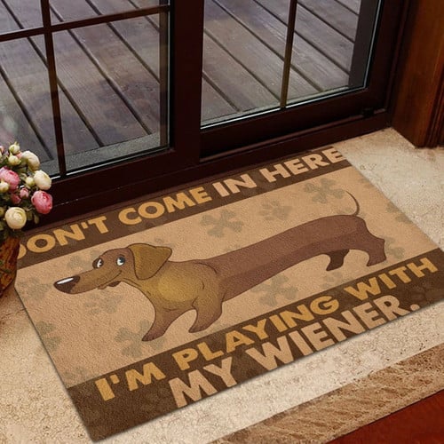 Dachshund Doormat, Funny Dachshund Doormat, Dog Funny Doormat, Welcome Mat, Pet Doormat, Housewarming Gift