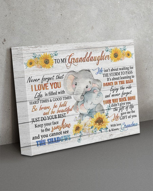 To My Granddaughter Never Forget That I Love You Life Is Filled With Hard Times And Good Times Elephant Canvas