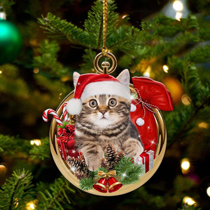 Cat Christmas Pocket Ornament Cute Cat Christmas Tree Ornaments Xmas Gifts For Her