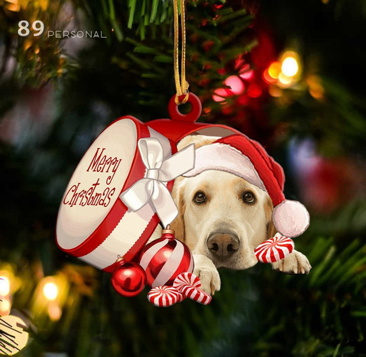 Labrador Retriever Out Of Merry Christmas Box Ornament Dog Lover Ornament Christmas Tree Hanger