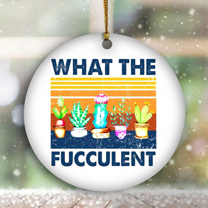 What The Fucculent Cactus Ornament Vintage Christmas Ornament Sets 2021