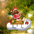 Vizsla Sitting On A Cute Sleigh Ornament Flat Acrylic Funny Dog Ornament