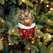 Brown Cat In Snow Pocket Christmas Ornament Flat Acrylic Cat Ornament