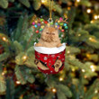 Brown Cat In Snow Pocket Christmas Ornament Flat Acrylic Cat Ornament