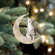 American Shorthair Cat Sits On The Moon Hanging Ornament Acrylic Custom Shaped Christmas Cat Ornament