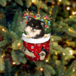 Pomeranian 1 In Snow Pocket Christmas Ornament Flat Acrylic Dog Ornament
