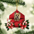 Cairn Terrier Christmas Letter Shaped Ornament , Acrylic Dog Christmas Ornament Xmas Dog Gifts
