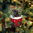 Plott Hound In Snow Pocket Christmas Ornament Flat Acrylic Dog Ornament