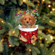 Cavapoo 2 In Snow Pocket Christmas Ornament Flat Acrylic Dog Ornament