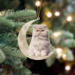 Persian Cat Sits On The Moon Hanging Ornament Acrylic Custom Shaped Christmas Cat Ornament