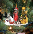 Australian Shepherd Christmas YC0811358CL Ornaments