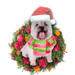 Cairn Terrier Christmas YC0811549CL Ornaments