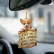 Corgi Lover Two Sided YC0811098CL Ornaments