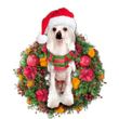 Chinese Crested Christmas YC0811557CL Ornaments