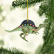 Dinosaur Christmas NI1611039YR Ornaments, 2D Flat Ornament