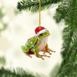 Frog Christmas NI1711027YR Ornaments
