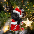 Black Cat Christmas Gift YC0611397CL Ornaments