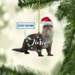 Personalized Otters NI1811002YI Ornaments