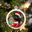 Black Cat YC0611269CL Ornaments, 2D Flat Ornament