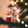 Chihuahua The Best Gifts XS0411002XB Ornaments, 2D Flat Ornament