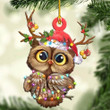 Owl Christmas YW0511180CL Ornaments, 2D Flat Ornament