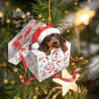 Dachshund Christmas YC0811203CL Ornaments