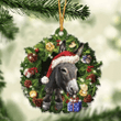 Donkey Christmas YC0811381CL Ornaments