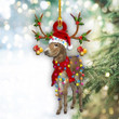 Donkey Christmas Light YC0611112CL Ornaments, 2D Flat Ornament