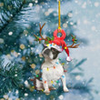 Boston Terriers Christmas Lights YC0611509CL Ornaments, 2D Flat Ornament
