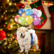 Chow Chow Dog Flying With Bubbles YC0611606CL Ornaments