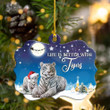 Tiger Christmas YC0611224CL Ornaments, 2D Flat Ornament