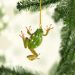 Frog Christmas NI1711031YR Ornaments
